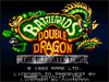 Battletoads & Double Dragon: The Ultimate Team